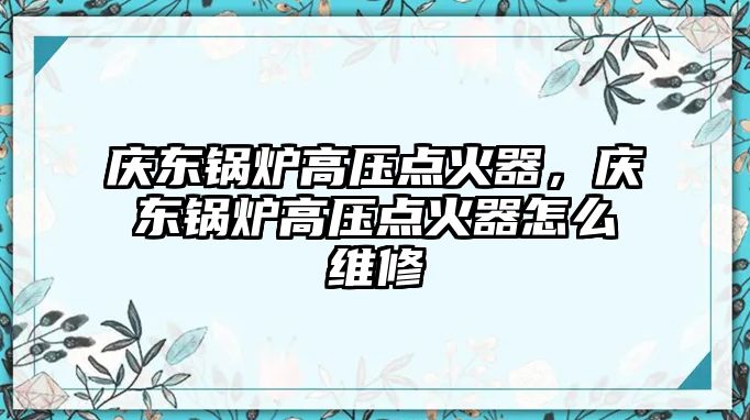 慶東鍋爐高壓點火器，慶東鍋爐高壓點火器怎么維修