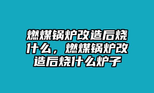 燃煤鍋爐改造后燒什么，燃煤鍋爐改造后燒什么爐子