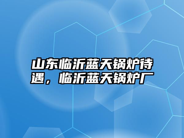 山東臨沂藍(lán)天鍋爐待遇，臨沂藍(lán)天鍋爐廠