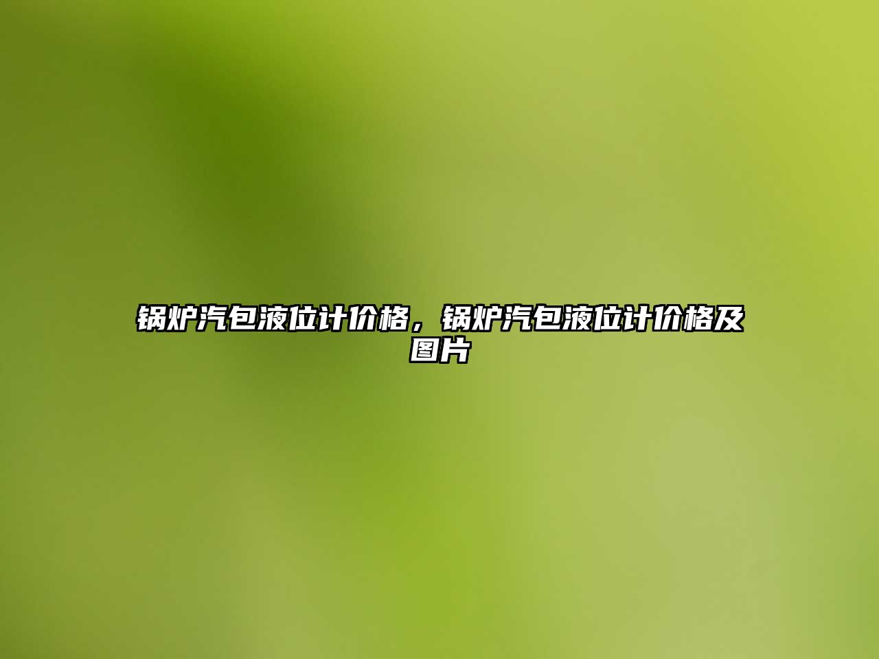 鍋爐汽包液位計價格，鍋爐汽包液位計價格及圖片