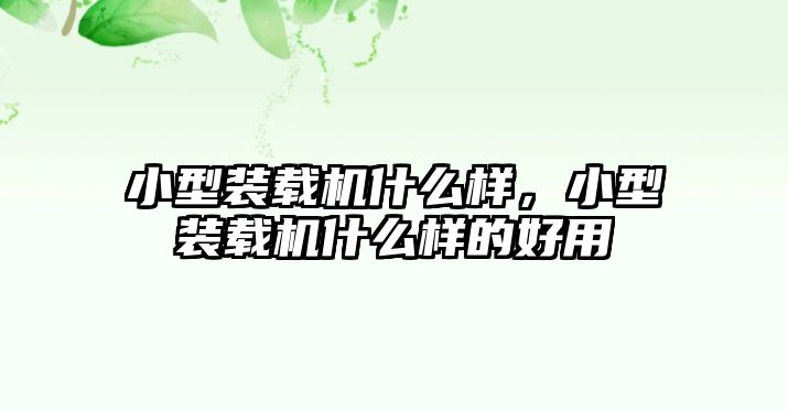 小型裝載機什么樣，小型裝載機什么樣的好用