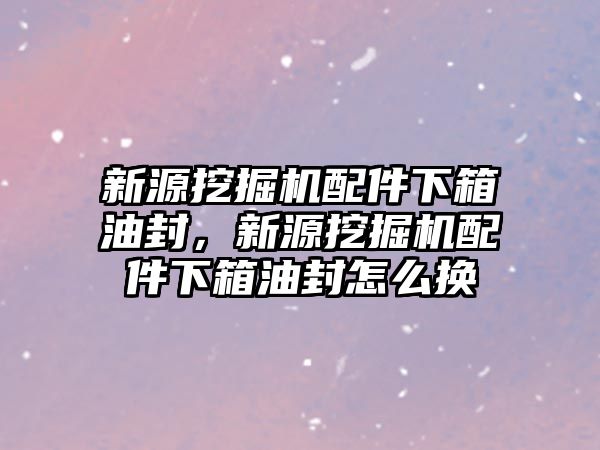 新源挖掘機配件下箱油封，新源挖掘機配件下箱油封怎么換