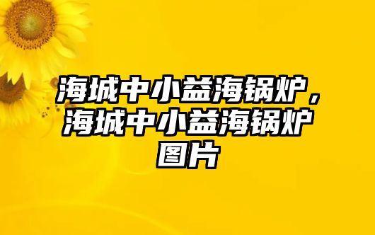 海城中小益海鍋爐，海城中小益海鍋爐圖片