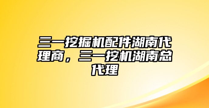 三一挖掘機(jī)配件湖南代理商，三一挖機(jī)湖南總代理