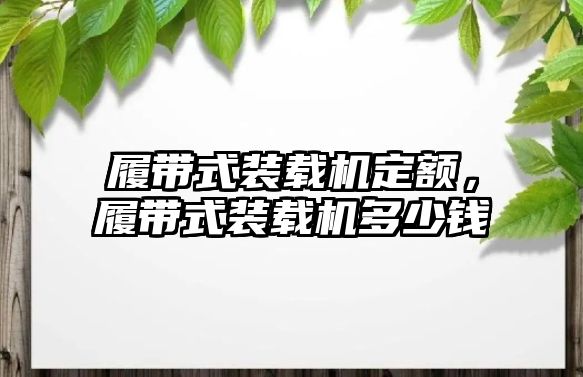 履帶式裝載機定額，履帶式裝載機多少錢