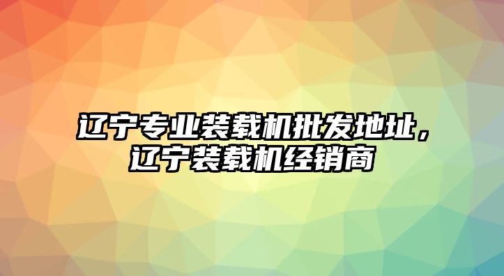 遼寧專業(yè)裝載機批發(fā)地址，遼寧裝載機經(jīng)銷商