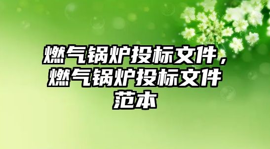 燃?xì)忮仩t投標(biāo)文件，燃?xì)忮仩t投標(biāo)文件范本