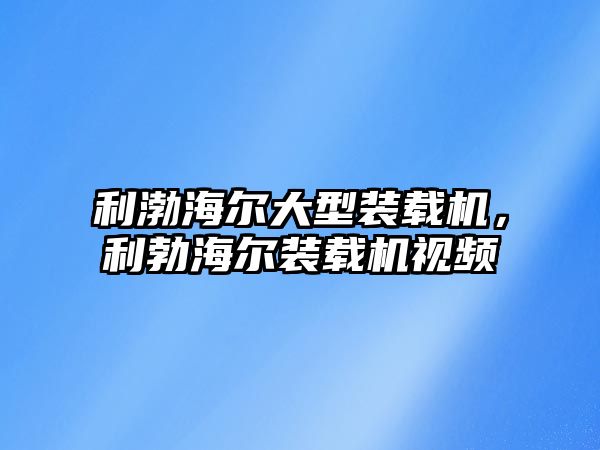 利渤海爾大型裝載機，利勃海爾裝載機視頻