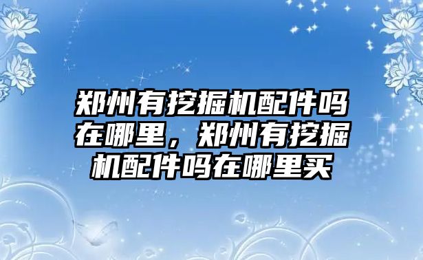 鄭州有挖掘機(jī)配件嗎在哪里，鄭州有挖掘機(jī)配件嗎在哪里買