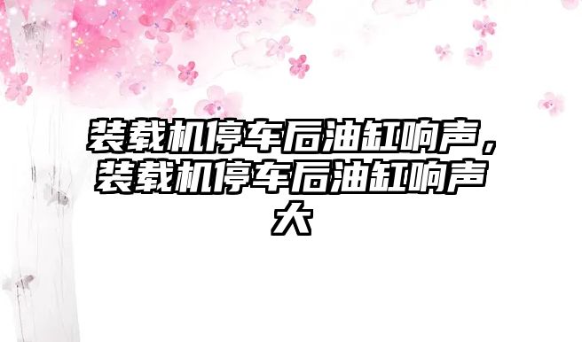 裝載機停車后油缸響聲，裝載機停車后油缸響聲大