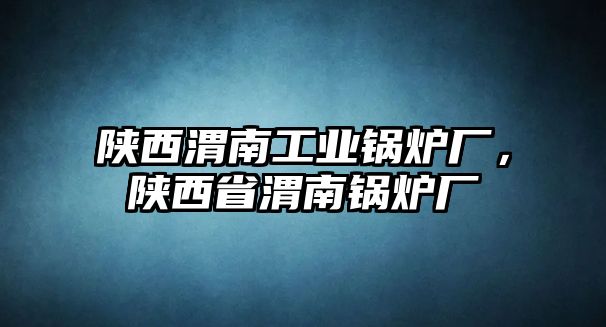 陜西渭南工業(yè)鍋爐廠，陜西省渭南鍋爐廠