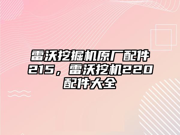 雷沃挖掘機原廠配件215，雷沃挖機220配件大全