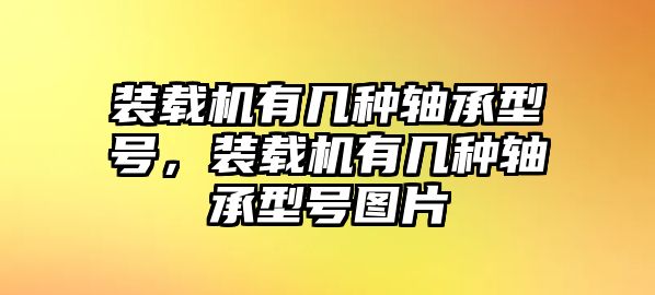 裝載機(jī)有幾種軸承型號(hào)，裝載機(jī)有幾種軸承型號(hào)圖片