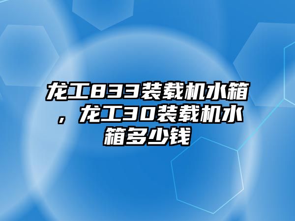 龍工833裝載機水箱，龍工30裝載機水箱多少錢