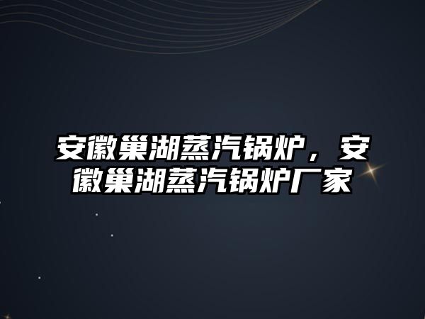 安徽巢湖蒸汽鍋爐，安徽巢湖蒸汽鍋爐廠家