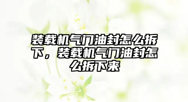 裝載機氣門油封怎么拆下，裝載機氣門油封怎么拆下來