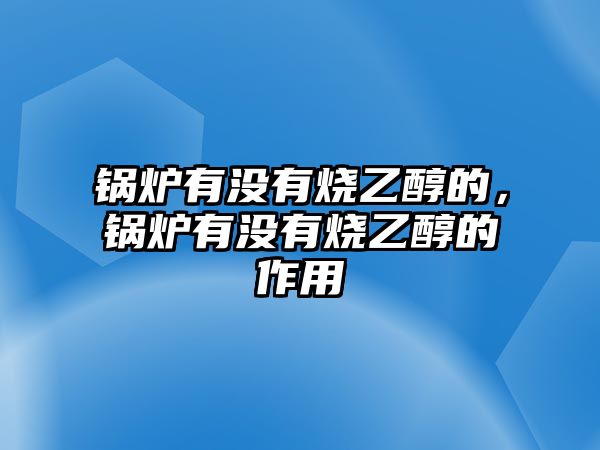 鍋爐有沒有燒乙醇的，鍋爐有沒有燒乙醇的作用