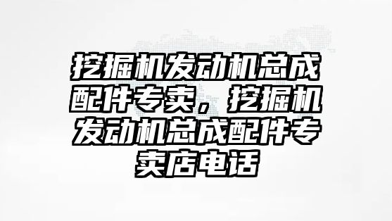 挖掘機(jī)發(fā)動(dòng)機(jī)總成配件專賣，挖掘機(jī)發(fā)動(dòng)機(jī)總成配件專賣店電話