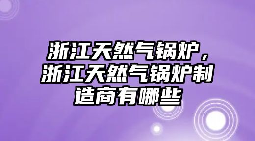 浙江天然氣鍋爐，浙江天然氣鍋爐制造商有哪些