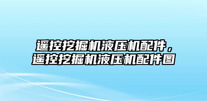 遙控挖掘機液壓機配件，遙控挖掘機液壓機配件圖