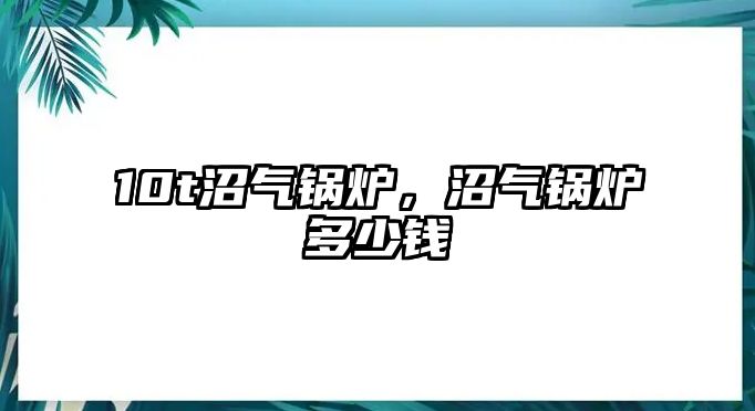 10t沼氣鍋爐，沼氣鍋爐多少錢