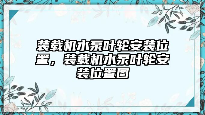 裝載機水泵葉輪安裝位置，裝載機水泵葉輪安裝位置圖