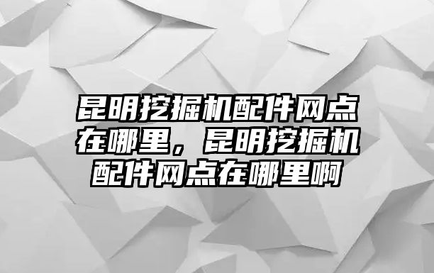 昆明挖掘機配件網(wǎng)點在哪里，昆明挖掘機配件網(wǎng)點在哪里啊