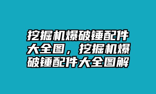 挖掘機(jī)爆破錘配件大全圖，挖掘機(jī)爆破錘配件大全圖解