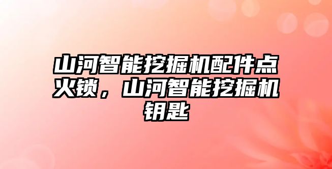 山河智能挖掘機(jī)配件點(diǎn)火鎖，山河智能挖掘機(jī)鑰匙