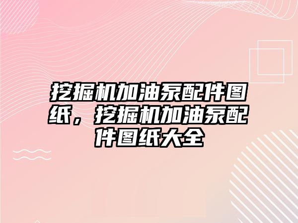 挖掘機加油泵配件圖紙，挖掘機加油泵配件圖紙大全