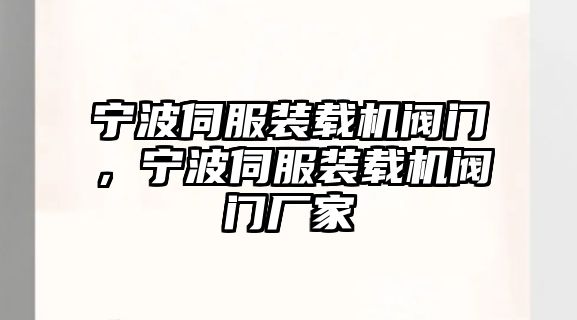 寧波伺服裝載機閥門，寧波伺服裝載機閥門廠家