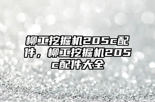 柳工挖掘機(jī)205c配件，柳工挖掘機(jī)205c配件大全