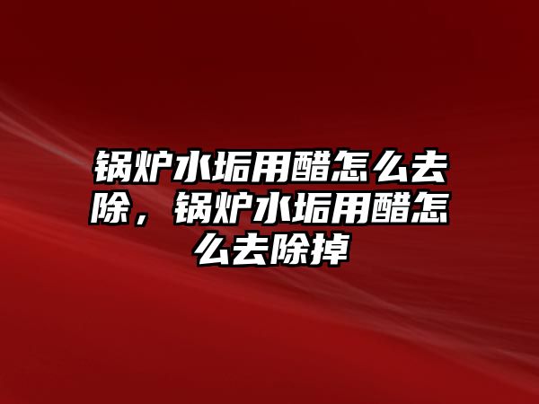 鍋爐水垢用醋怎么去除，鍋爐水垢用醋怎么去除掉