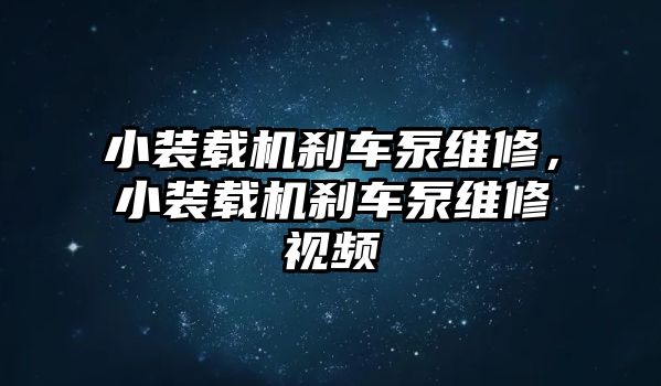 小裝載機剎車泵維修，小裝載機剎車泵維修視頻