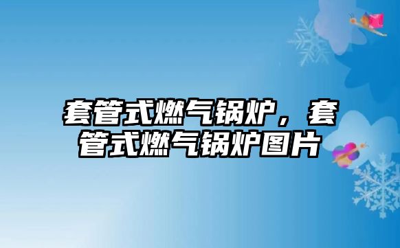 套管式燃?xì)忮仩t，套管式燃?xì)忮仩t圖片