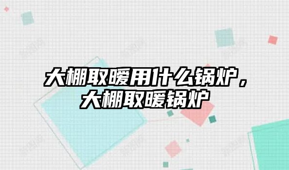 大棚取曖用什么鍋爐，大棚取暖鍋爐