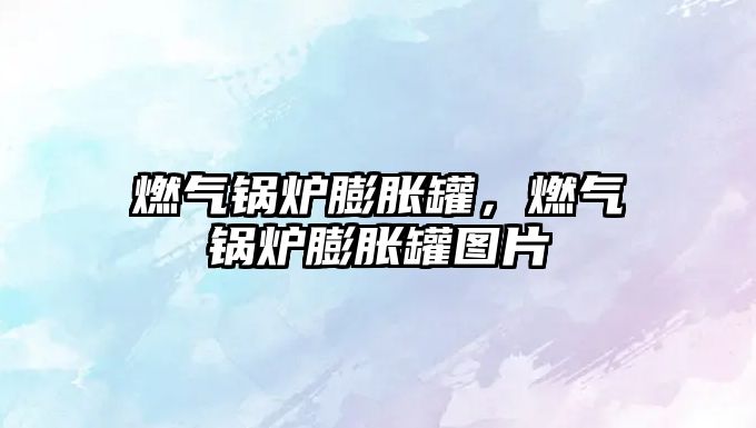 燃?xì)忮仩t膨脹罐，燃?xì)忮仩t膨脹罐圖片