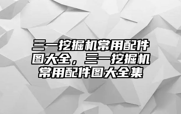 三一挖掘機(jī)常用配件圖大全，三一挖掘機(jī)常用配件圖大全集