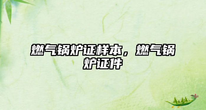 燃?xì)忮仩t證樣本，燃?xì)忮仩t證件