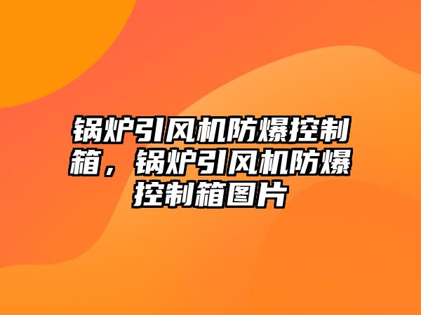 鍋爐引風機防爆控制箱，鍋爐引風機防爆控制箱圖片