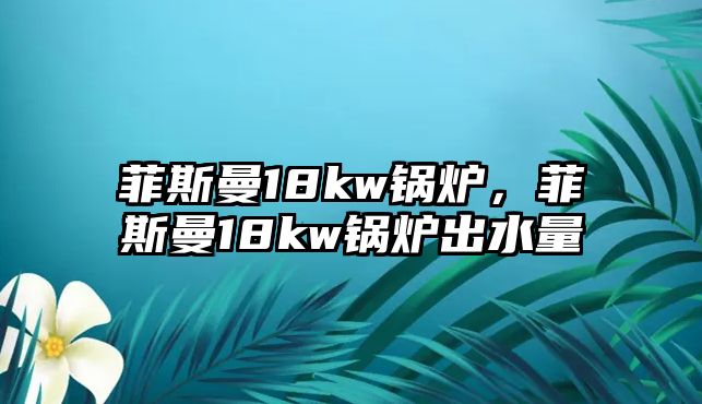 菲斯曼18kw鍋爐，菲斯曼18kw鍋爐出水量