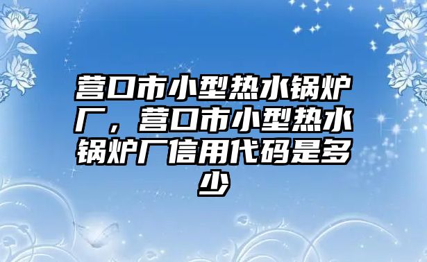 營口市小型熱水鍋爐廠，營口市小型熱水鍋爐廠信用代碼是多少