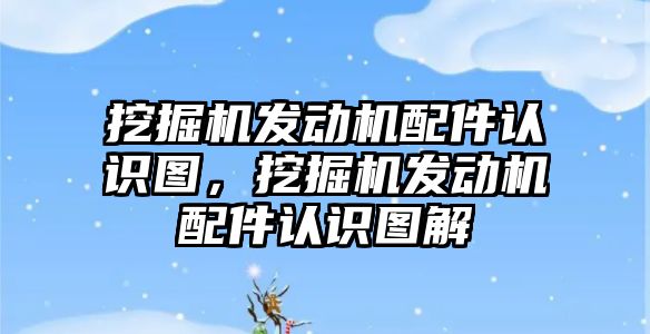 挖掘機發(fā)動機配件認識圖，挖掘機發(fā)動機配件認識圖解