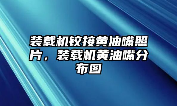 裝載機鉸接黃油嘴照片，裝載機黃油嘴分布圖