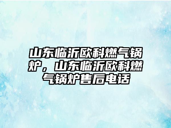 山東臨沂歐科燃?xì)忮仩t，山東臨沂歐科燃?xì)忮仩t售后電話