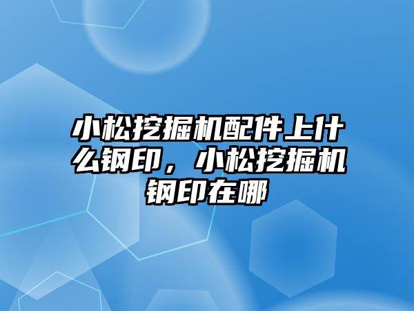 小松挖掘機配件上什么鋼印，小松挖掘機鋼印在哪