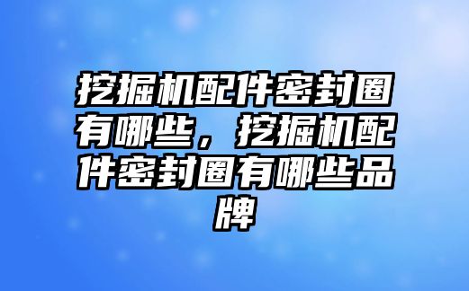 挖掘機(jī)配件密封圈有哪些，挖掘機(jī)配件密封圈有哪些品牌