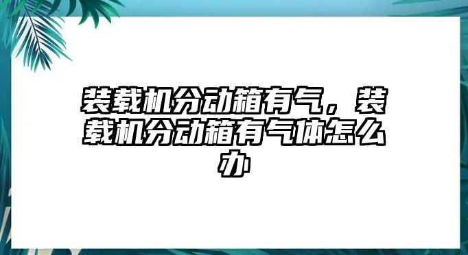 裝載機分動箱有氣，裝載機分動箱有氣體怎么辦