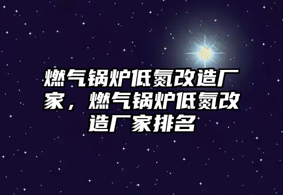 燃?xì)忮仩t低氮改造廠家，燃?xì)忮仩t低氮改造廠家排名