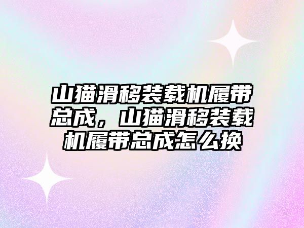 山貓滑移裝載機履帶總成，山貓滑移裝載機履帶總成怎么換